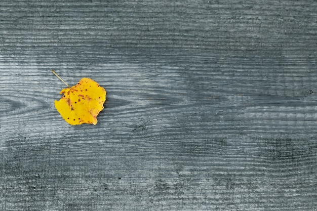 Yellow leaf on a wooden gray .  autumn, loneliness. View from above. copyspace.