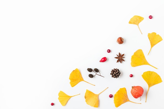 Yellow leaves of Gingko Biloba with physalis