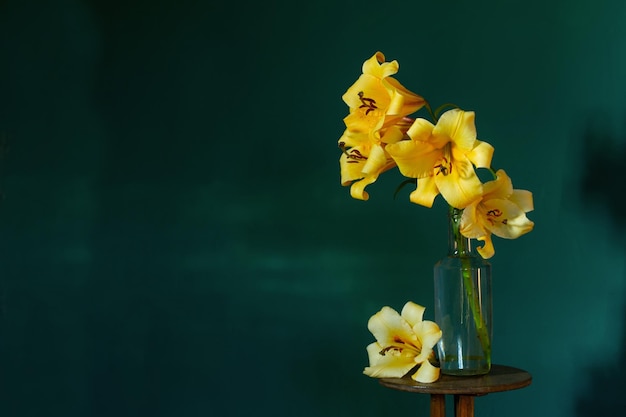 Yellow lilly on dark green background