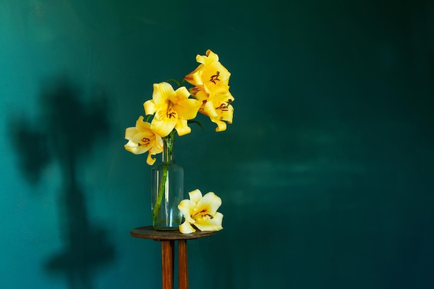 Yellow lilly on dark green background