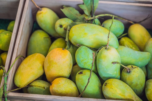 Yellow Mango on market - exotic thai fruits