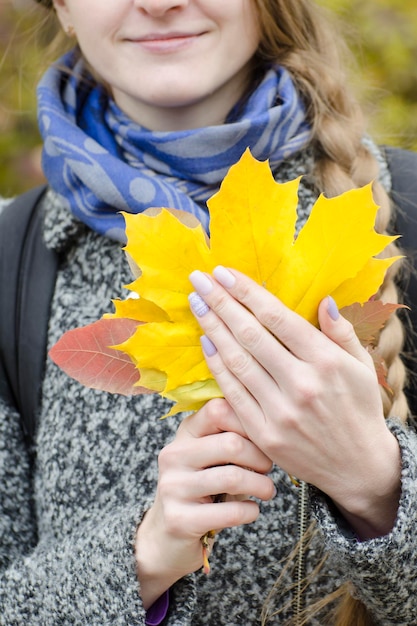 Yellow maple leaves in female hands Closeup