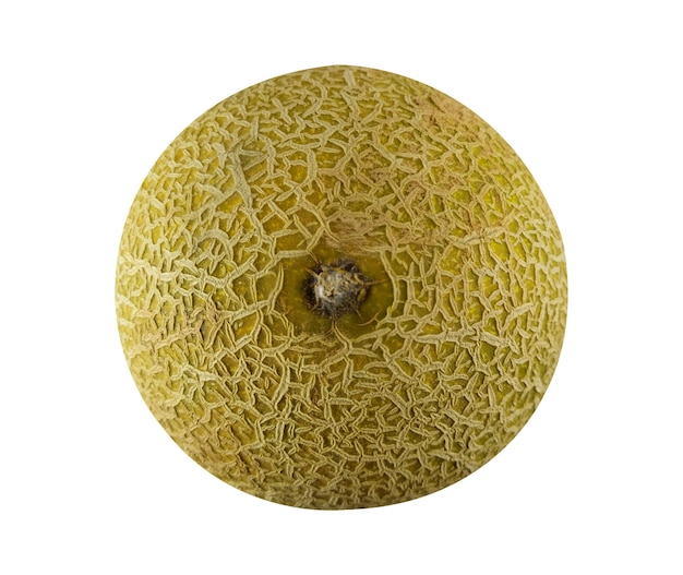 A yellow melon with a white background