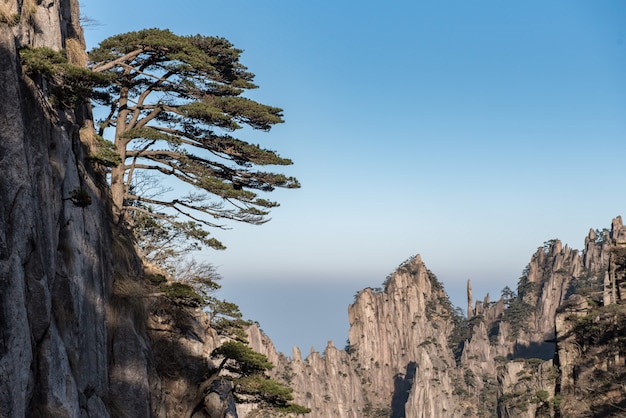 Yellow Mountain or Huangshan mountain cloud sea scenery