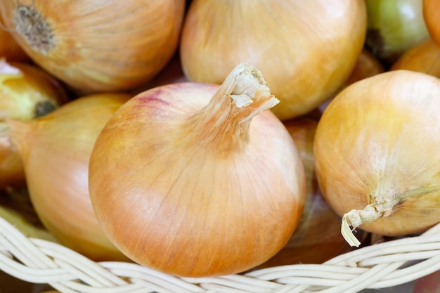 Yellow onion closeup background