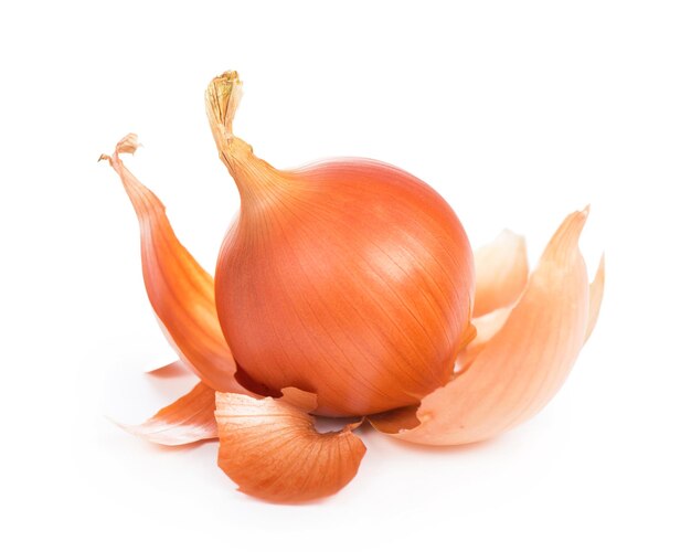 Yellow onion isolated on white background close up