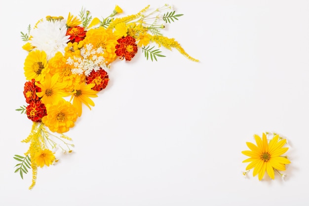 Yellow and orange flowers on white background with copyspace