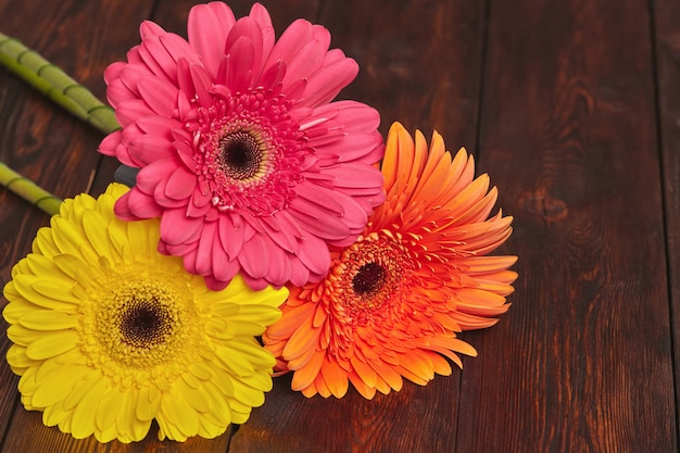 Yellow, orange and pink gerbera flowers