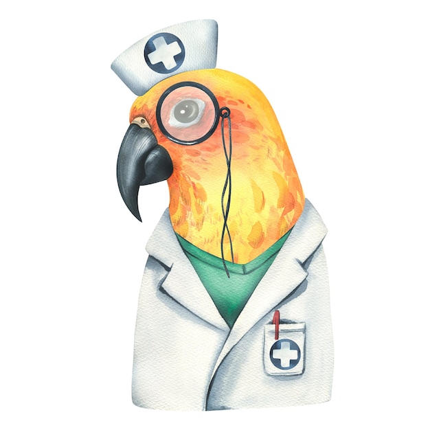 Yellow parrot is a doctor in a medical gown and a cap with pincenez