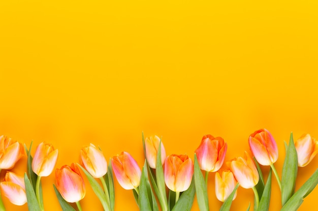 Yellow pastels color flowers on yellow background.Waiting for spring. Flat lay, top view. Copy space.