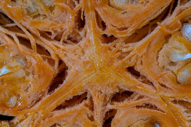 Yellow pumpkin cut in half with the texture of seeds and pulp Pumpkin slices background close up top view