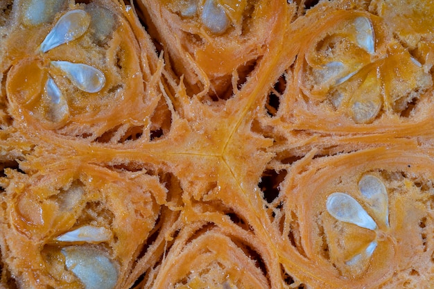 Yellow pumpkin cut in half with the texture of seeds and pulp Pumpkin slices background closeup top view