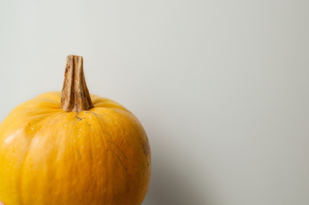 Yellow pumpkin on a white background