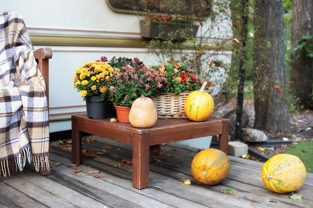 Yellow Pumpkins and fall flowers in pots on table.