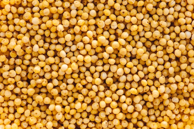 Yellow pure grain of millet. Seamless texture.