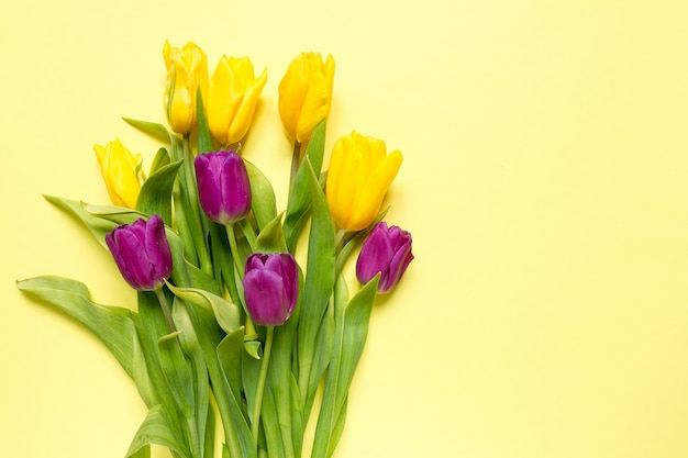 Yellow and purple flowers tulips in a bouquet on a yellow background, a festive spring background 