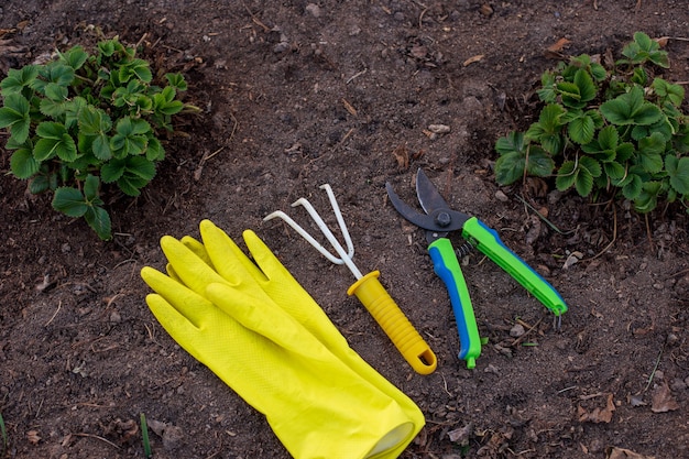 A yellow rake, yellow garden gloves and a green pruner