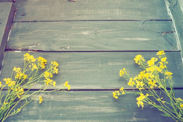 Yellow rapeseed flowers collected in a bunch or bouquet on wooden background Wildflowers are arranged neatly on the table Copy space and still life Free space for text Brassica napus Cabbageaceae