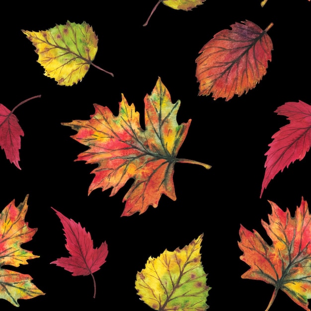 Yellow and red autumn leaves Seamless pattern on a black background Watercolor illustration Clip art botany foliage