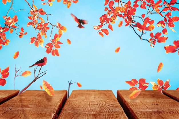 Yellow and red bright autumn leaves and red birds against a blue sky in the sunlight Wooden table surface Autumn natural background Free space for your design