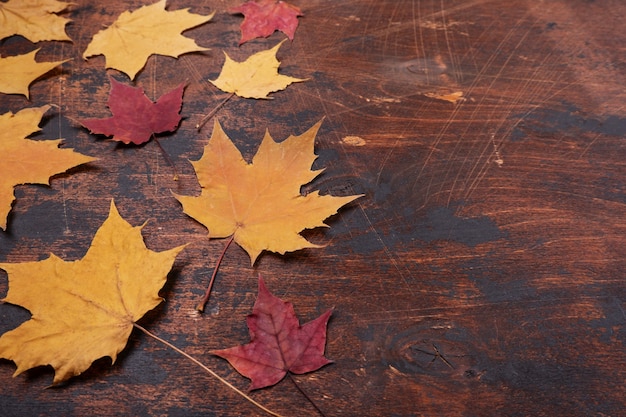 Yellow red maple leaves leaves old grunge wooden background Copy space Autumn concept Season school theme