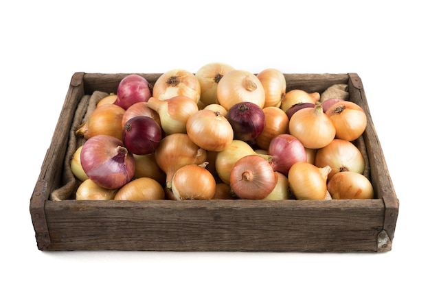 Yellow and red onions in a rustic wooden box isolated on white