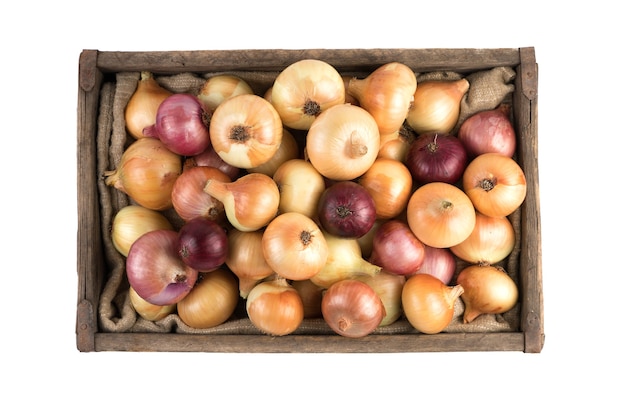 Yellow and red onions in wooden box isolated