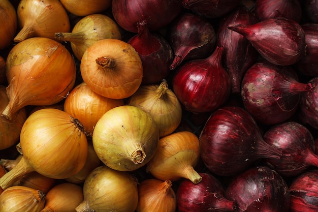 Yellow and red round onions close to each other