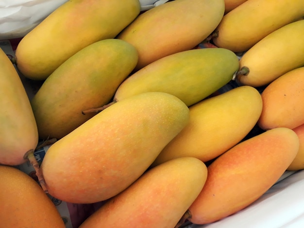 Yellow ripe rainbow mango