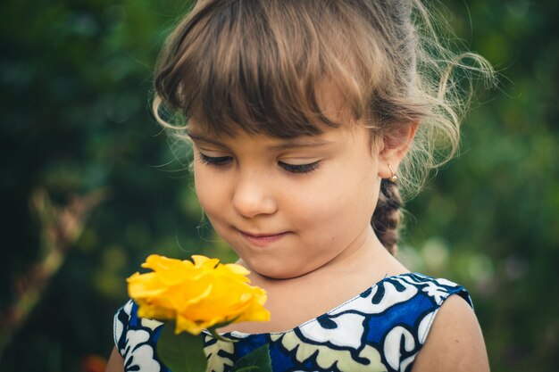 Yellow rose young gardener