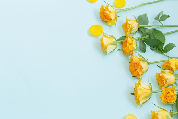 Yellow roses on green paper background