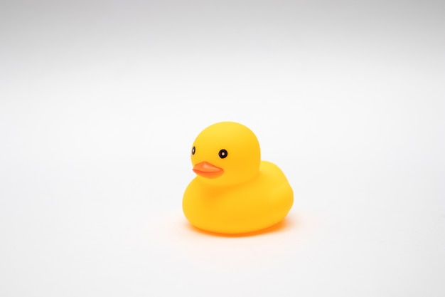 Yellow Rubber Duck on white background.