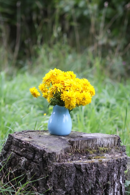 Yellow Rudbeckia golden ball flowers in blue vase outdoors.