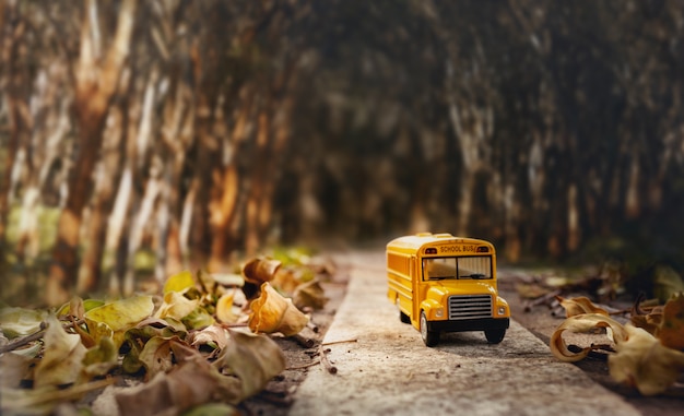 Photo yellow school bus toy model on country road.