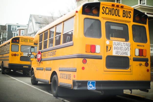 A yellow school bus with the words school bus on the back.