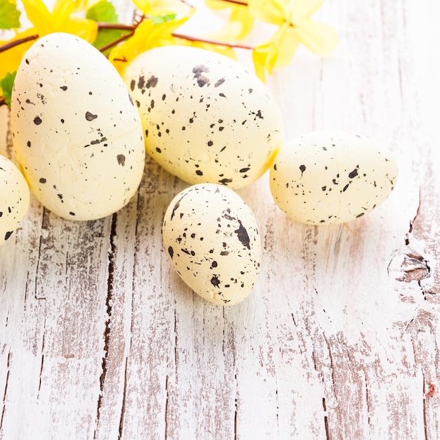 Yellow spotted eggs with forsythia flowers on the shabby wooden table