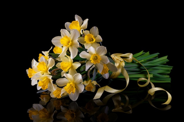 Yellow spring flowers daffodils with reflection