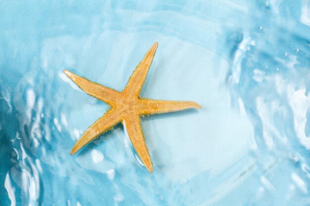 A yellow starfish floating over the water on a light blue background