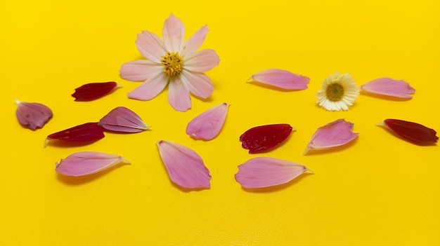 Photo a yellow surface with flowers and petals on it