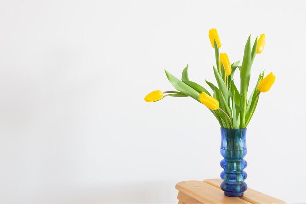 Yellow tulips in blue glass vase on white background