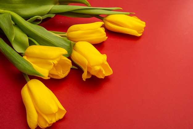 Yellow tulips flowers on a red background. Waiting for spring. Happy Easter card. Flat lay, top view. Copy space for text