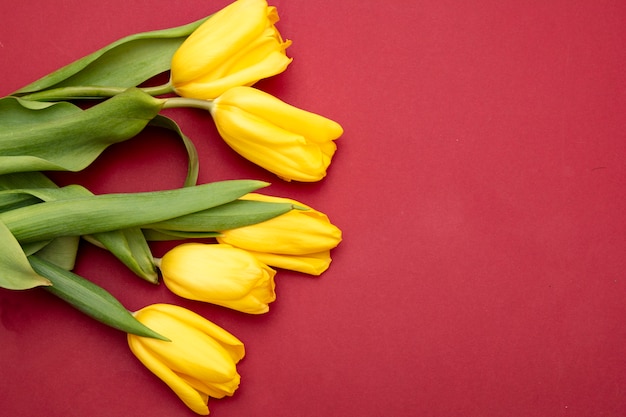 Yellow tulips flowers on a red background. Waiting for spring. Happy Easter card. Flat lay, top view. Copy space for text