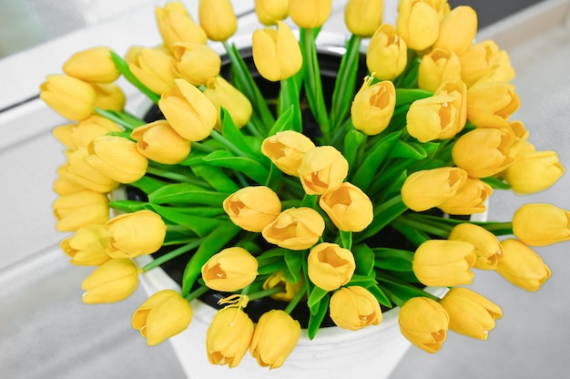 Yellow tulips in a white vase. High quality photo