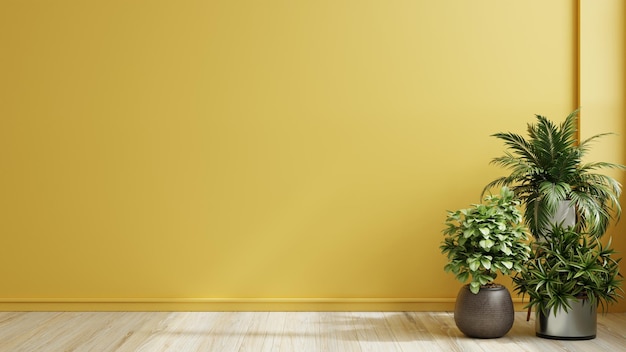 Yellow wall empty room with plants on a floor