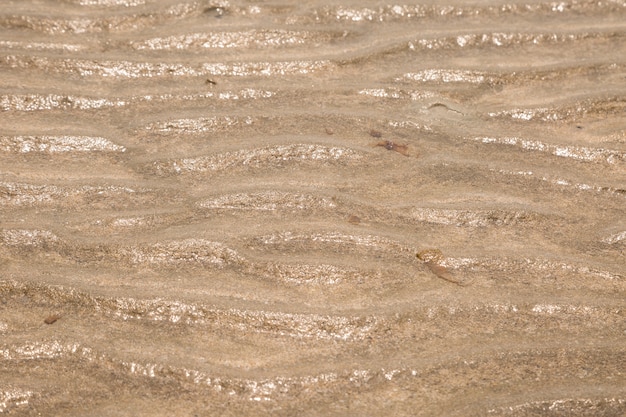 Yellow wave sand texture on the beach