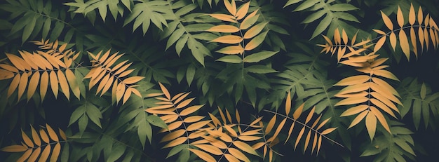 Yellowred foliage tropical leaves panoramic texture pattern