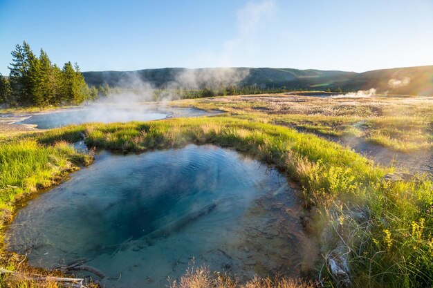 Yellowstone