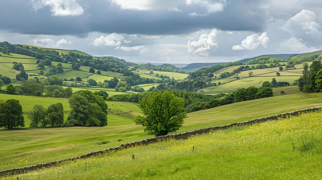 Photo the yorkshire dales is a national park in england it is an upland area with green hills valleys and rivers there are many sheep farms in the area