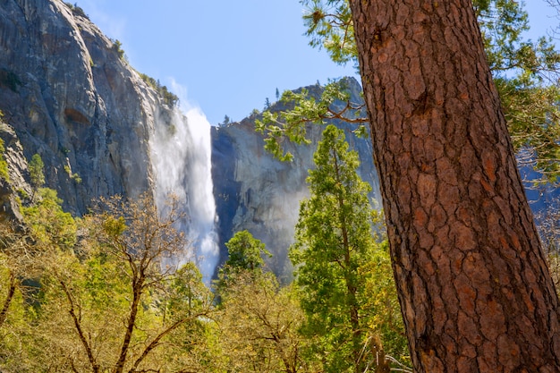 Photo yosemite bridalveil fall waterfall california