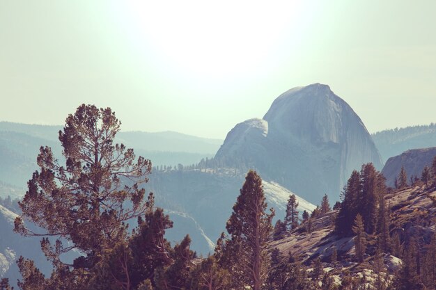 Yosemite landscapes